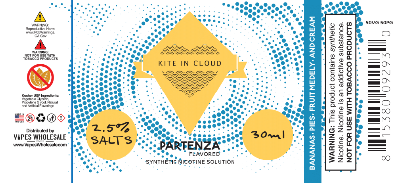 Kite in Cloud Salts - Partenza Flavored Synthetic Nicotine Solution